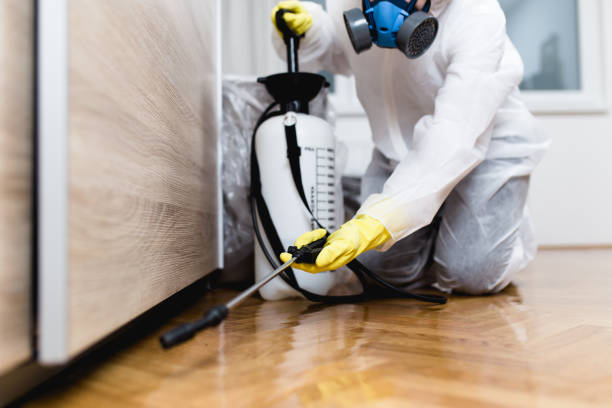 Best Bed Bug Extermination  in Pleasure Point, CA
