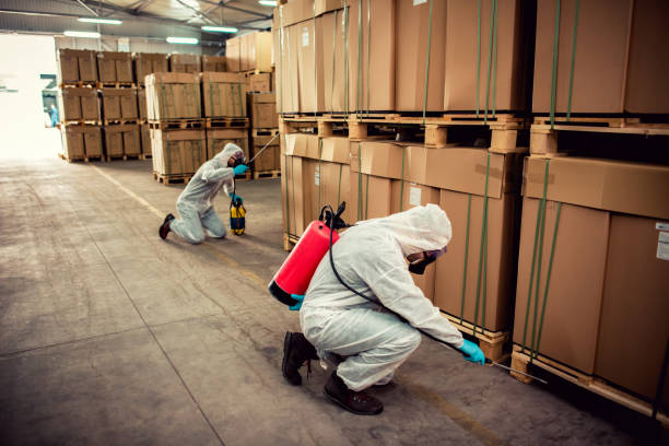 Best Best Pest Control Companies  in Pleasure Point, CA