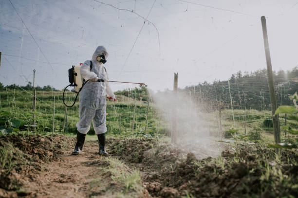 Best Pest Removal Services  in Pleasure Point, CA