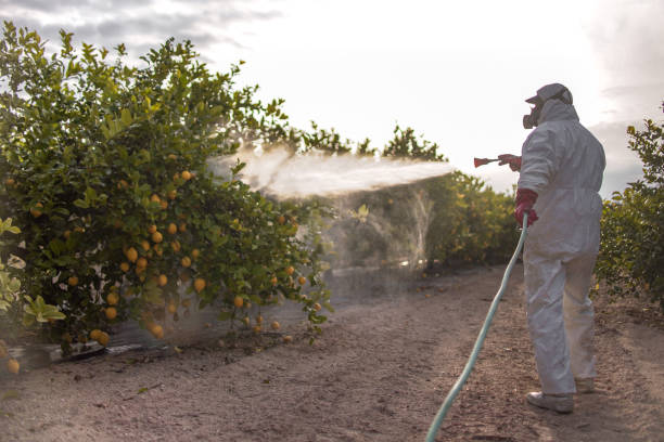 Best Pest Inspection Near Me  in Pleasure Point, CA