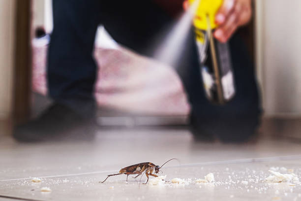 Best Wasp Removal Services  in Pleasure Point, CA