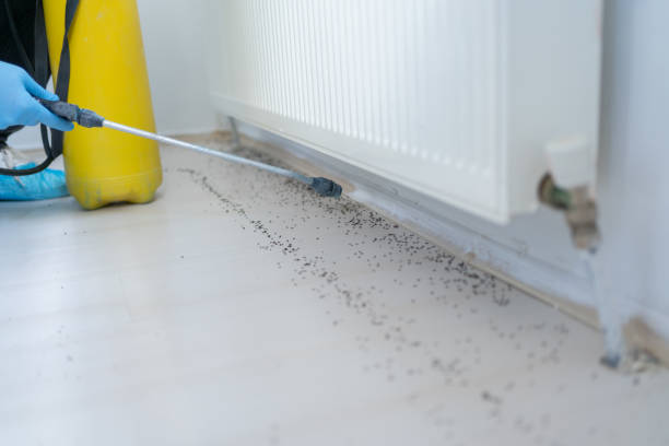 Best Ant Control Services  in Pleasure Point, CA